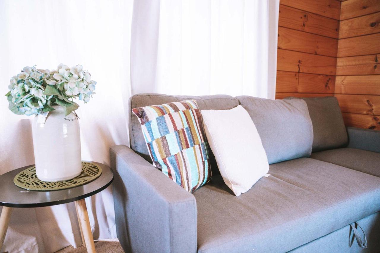 Comfortable Cosy Retreat ロトルア エクステリア 写真